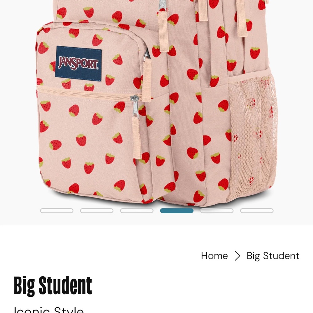 JanSport XL Backpack in Pink with Strawberry ๐ Shower Design - Picture 11 of 13